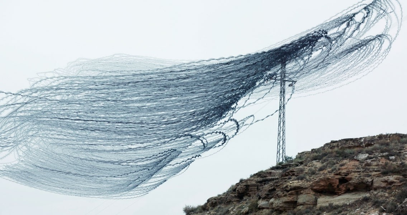 Illustration for article titled You've Never Seen Birds Fly Like This Before